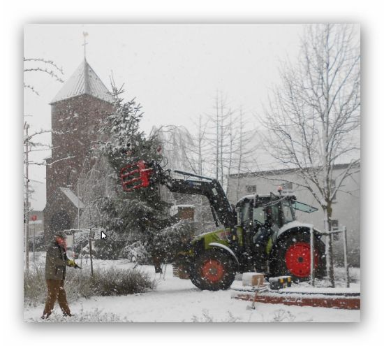 Baum Schnee -2
