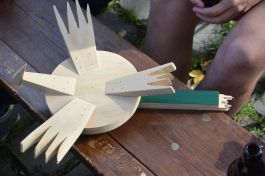 Vogelschuss 2015 010