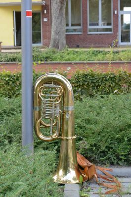 Vogelschuss 2015 015