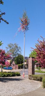 Maibaum